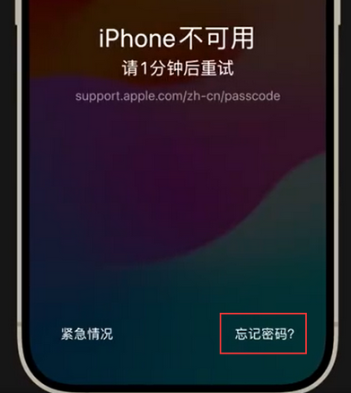 青秀苹果手机密码维修分享iPhone忘记了刚设置的密码 