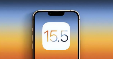 青秀苹果手机维修分享iOS15.5 RC版升级建议 