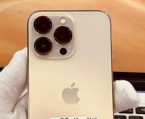 青秀苹果13维修中心分享如何在iPhone13上设置动态壁纸 青秀苹果13维修中心分享如何在iPhone13上设置动态壁纸